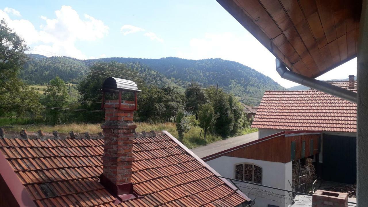 Gasthaus Casa Maria Retezat Nucsoara  Exterior foto